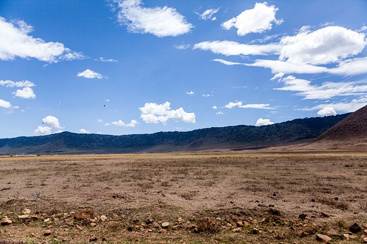 TZA ARU Ngorongoro 2016DEC26 Crater 098